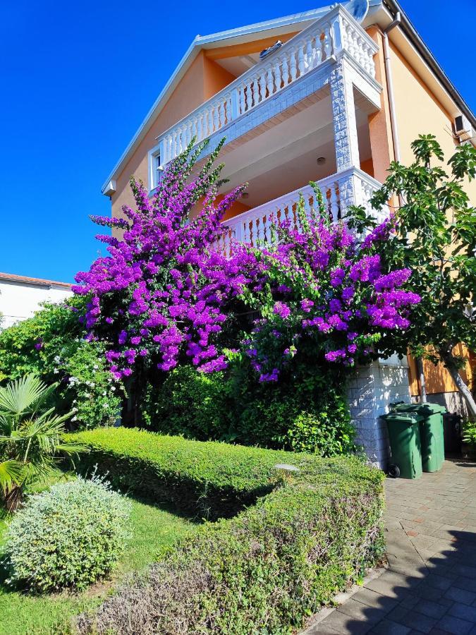 Apartmani Seka 沃迪切 外观 照片