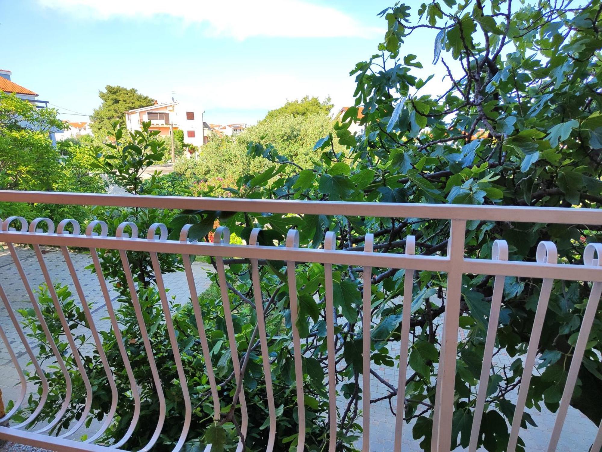 Apartmani Seka 沃迪切 外观 照片
