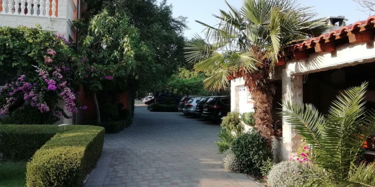 Apartmani Seka 沃迪切 外观 照片